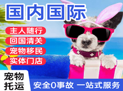 拉萨贡嘎空运地址国际宠物托运 【国